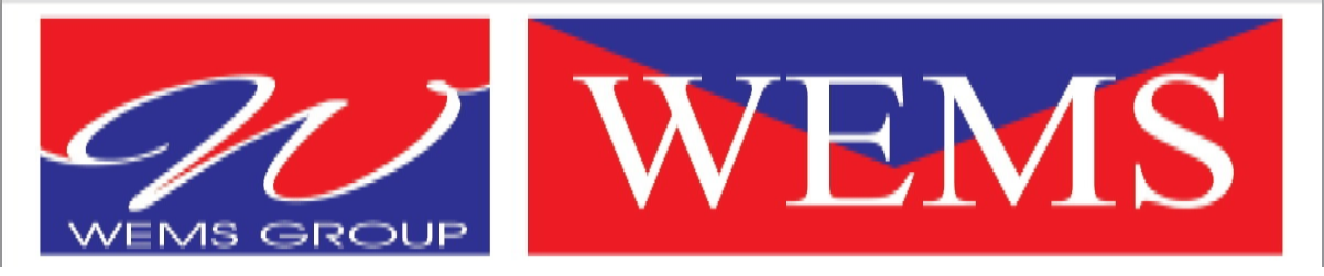 WEMS Group Logo